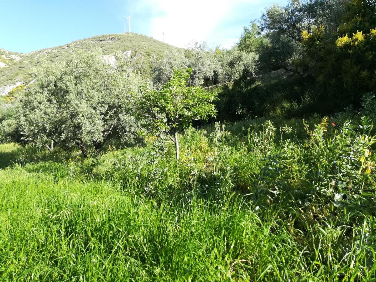 Bancal De Los Perez Carataunas Luaran gambar