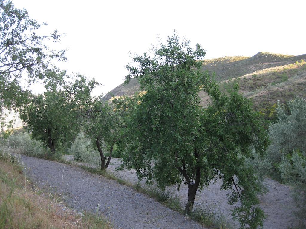 Bancal De Los Perez Carataunas Luaran gambar