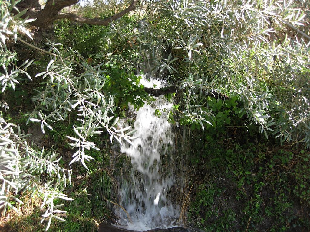 Bancal De Los Perez Carataunas Luaran gambar