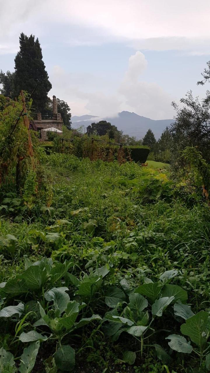 Bancal De Los Perez Carataunas Luaran gambar